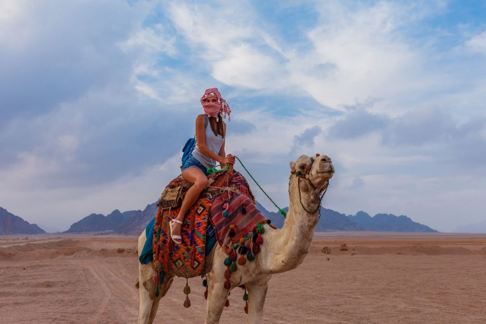 Marsa Alam: Desert Stargazing Tour With Camel Ride & Dinner - Tips for Enjoying Your Tour