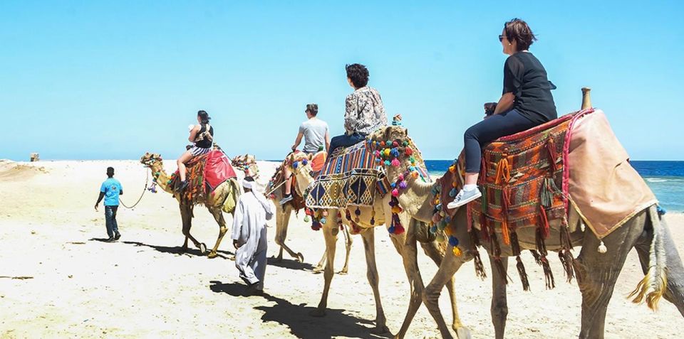 Marsa Alam: Sea and Desert Camel Riding Tour - Customer Reviews and Ratings