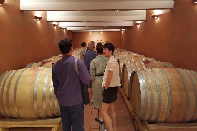 Marseille Shore Excursion - Private Full Day Wine Tour in Provence - Transportation and Logistics