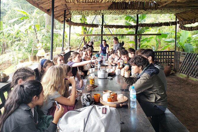 Materuni Waterfall, Coffee Tour and Picnic Hot Lunch - Pricing and Inclusions