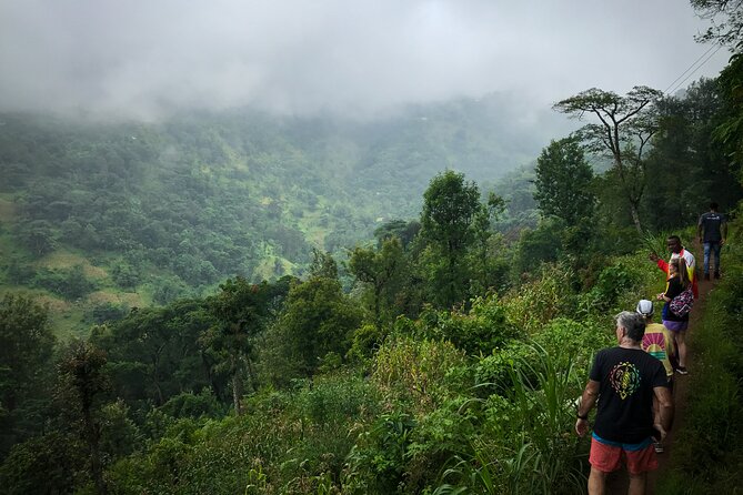 MATERUNI Waterfalls, Coffe Tour & Kikuletwa Hotsprings - Relaxing at Kikuletwa Hot Springs