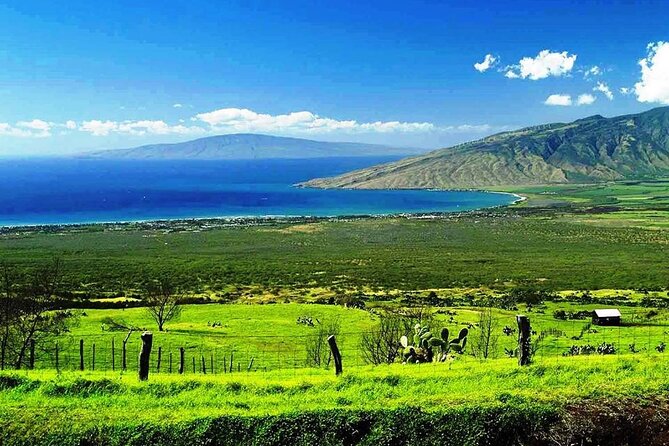 Maui Island Private Day Tour - Customer Reviews and Feedback
