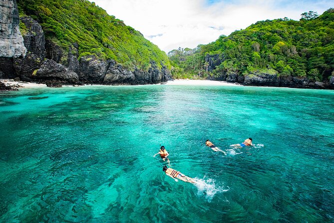 Maya Bay, Monkey Bay and Phi Phi Island Snorkeling Tour From Koh Lanta - Customer Feedback and Reviews