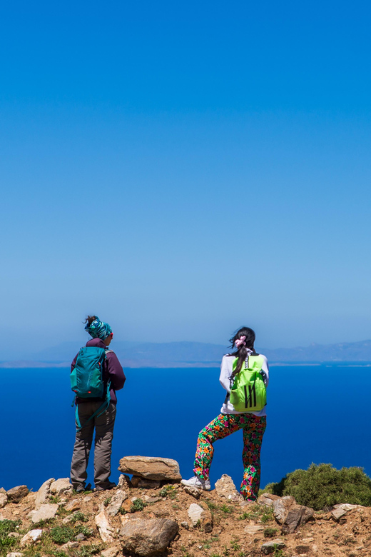 Meet the Trees in Cyclades Hiking (Small Group Experience) - Nature Connection Activities