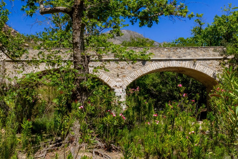 Meet the Trees in Cyclades Hiking Tour (Private Experience) - Whats Included