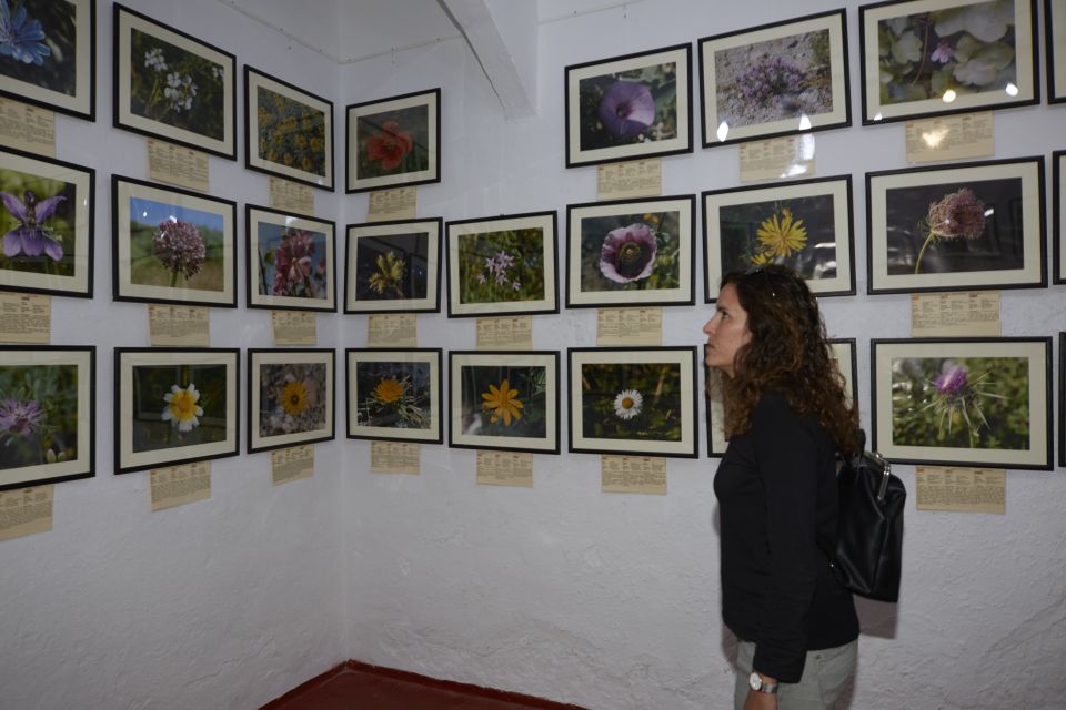 Menorca: Binissuès Museum & Cheese Making Demonstration - Meeting Point and Languages