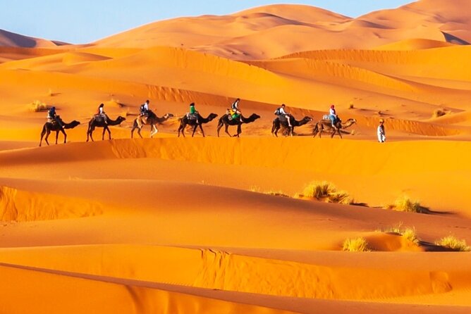 Merzouga Orange Dunes ATV Sandsurf Camels With 5 Stars Dinner - Pricing and Availability