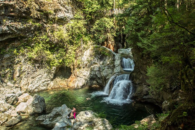 Mesmerizing Nature Walk in Lynn Canyon Park - Positive Traveler Experiences