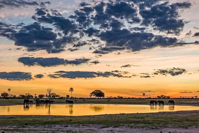 Mikumi National Park in a Day - a Day Tour From Morogoro - Traveler Information and Policies