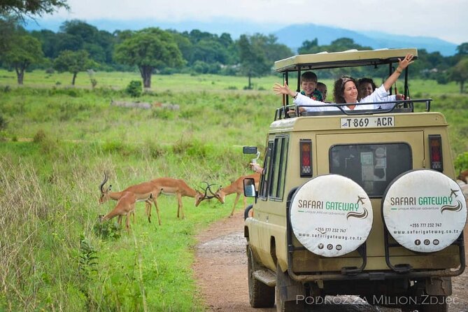 Mikumi Safari Tour: Day Trip Return Flight From Zanzibar - Meeting and Pickup Details