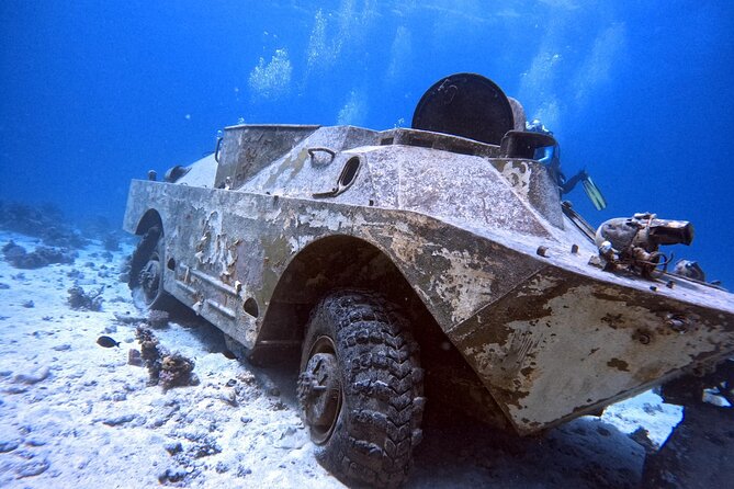 Military Museum Diving Experience in the Red Sea - Customer Reviews and Ratings
