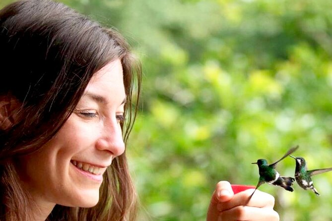 Mindo Orchids & Hummingbirds - Pricing and Guarantee