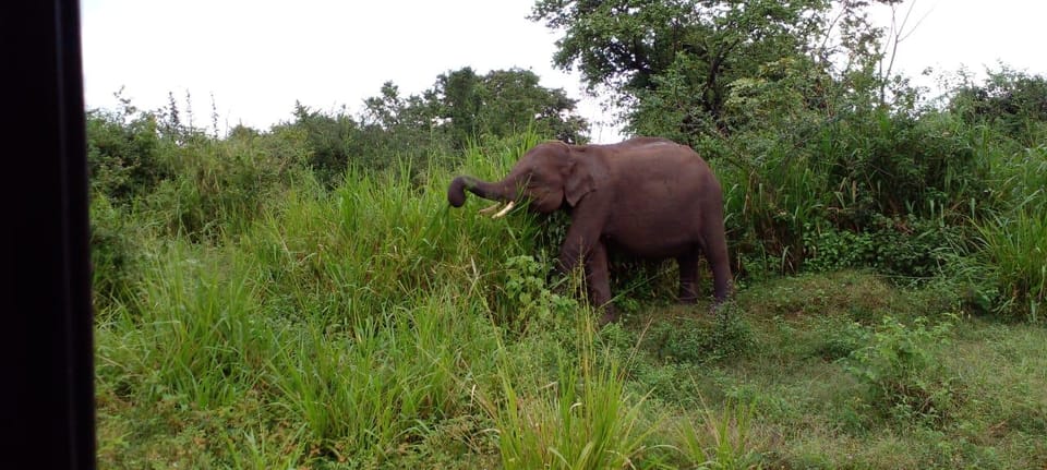 Minneriya National Park Excursion - Cancellation Policy