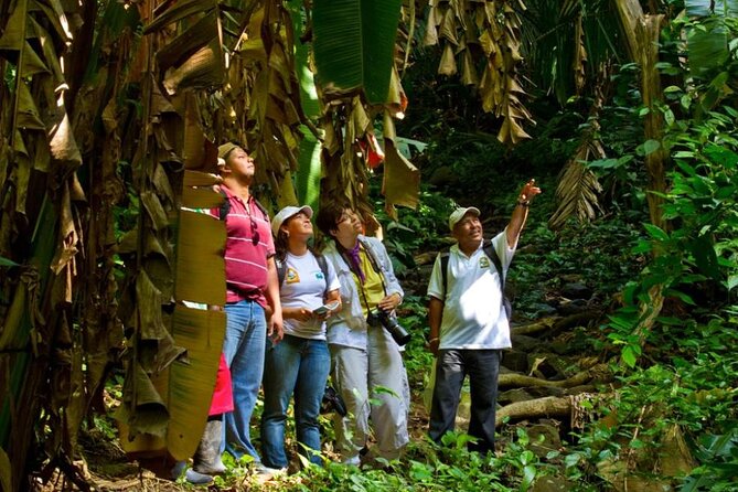 Mombacho Volcano, Cloud Forest - Frequently Asked Questions