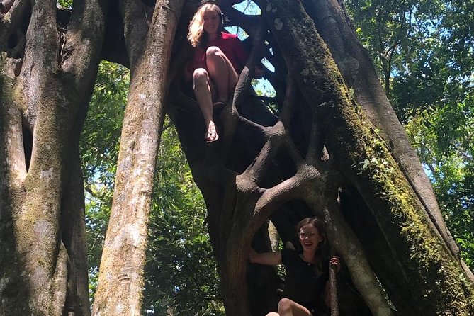 Monteverde Cloud Forest Authentic Experience - Transportation and Pickup Details