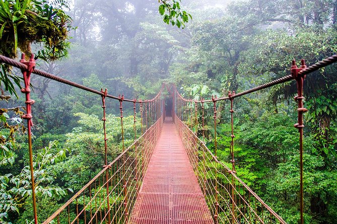 Monteverde Cloud Forest Reserve Guided Walk - Meeting and End Points