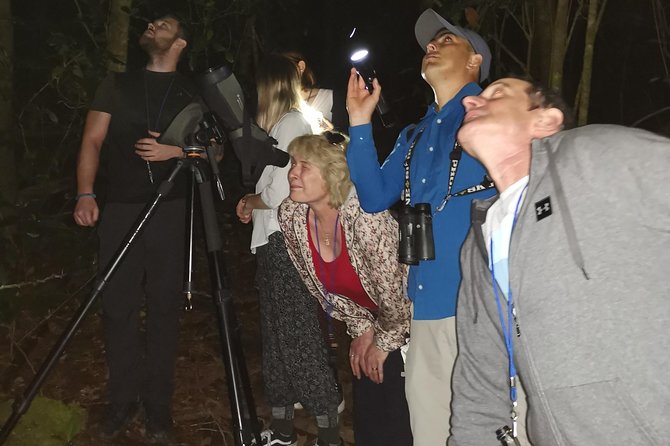 Monteverde Night Tour - Nocturnal Wildlife Observations