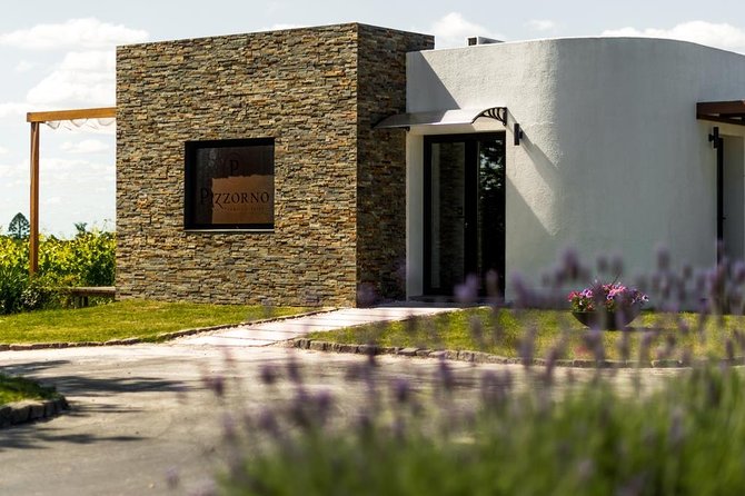 Montevideo Wine Tour With Tasting and Lunch - Pricing and Cancellation Policy