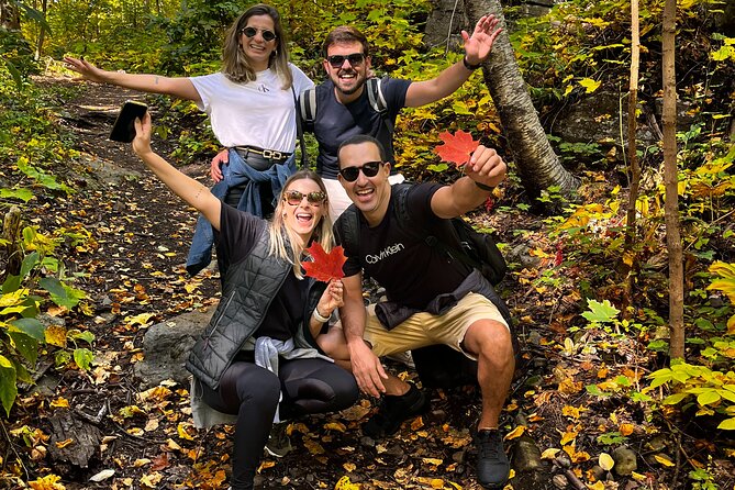 Montreals Mount Royal Tour - Breathtaking Viewpoints