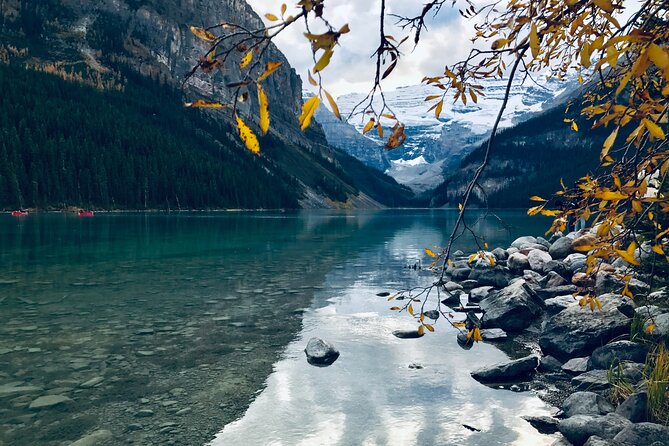 Moraine Lake & Lake Louise Sunset & Wildlife Adventure - Positive Guest Reviews