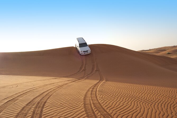 Morning Desert Safari In Abu Dhabi - Reviews and Ratings