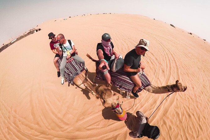 Morning Dune Bashing, Including Camel Riding and Sand Boarding From Dubai - Pricing and Inclusions