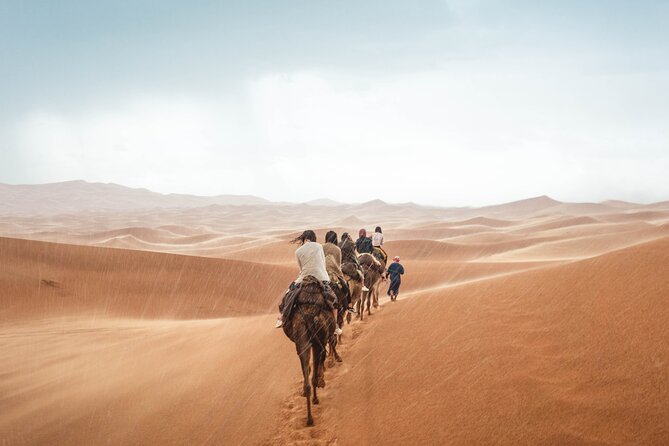 Morocco Tour Start From Casablanca 8 Days - Accommodation Options