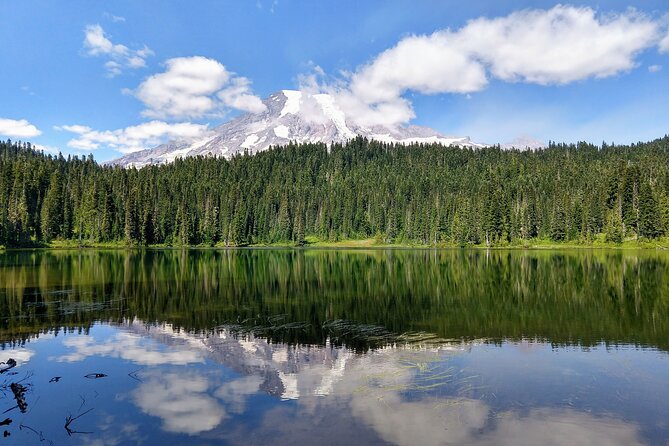 Mount Rainier National Park - Private Luxury Day Tour With Lunch - Customer Experiences
