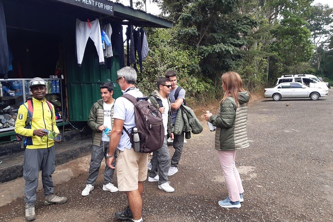 Mountain Kilimanjaro Day Hike - Customer Experiences