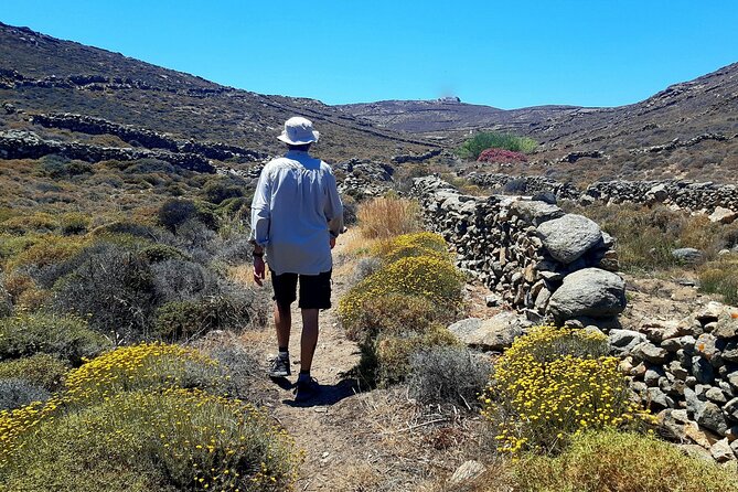 Mykonos Half-Day Hiking Adventure - Scenic Hike and Views