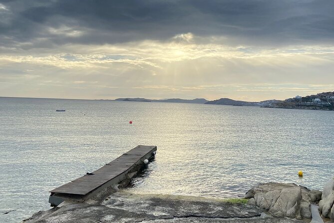 Mykonos Safari Island Tour - According To The Locals - Tour Reviews