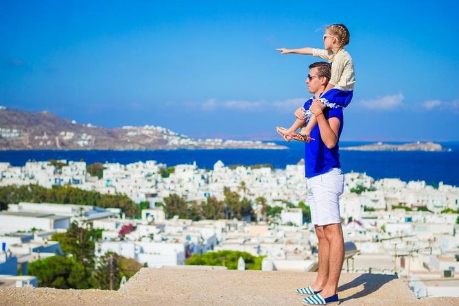 Mykonos Town and Island Half-Day Tour - Customer Reviews and Feedback
