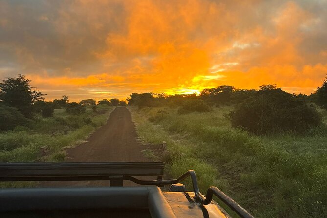 Nairobi National Park Daily Game Drives. - Traveler Reviews and Experiences