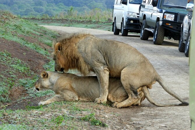 Nairobi National Park Drive (Small Group Tour) - Itinerary Highlights