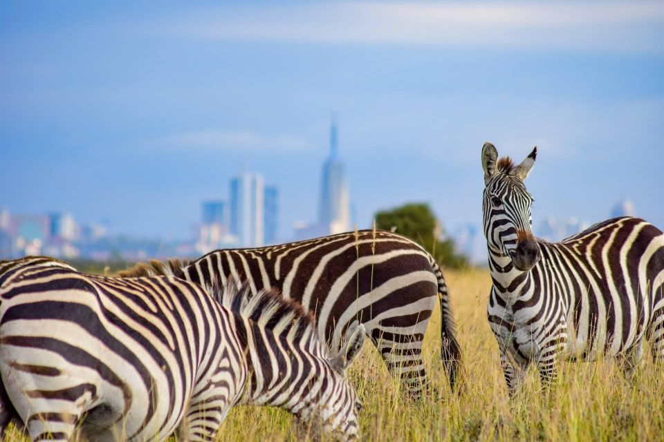 Nairobi National Park Morning or Evening Game Drive - Inclusions and Exclusions