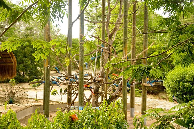 National Aviary Private From Cartagena