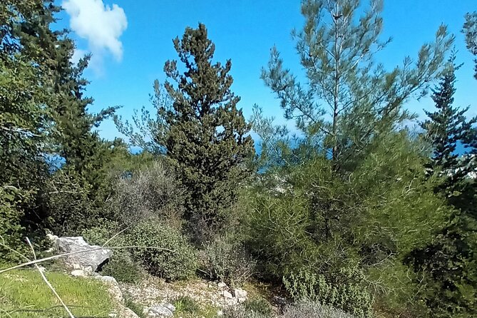 Nature Walking Tour in the Mediterranean Cyprus-8days - Traveler Experiences and Photos