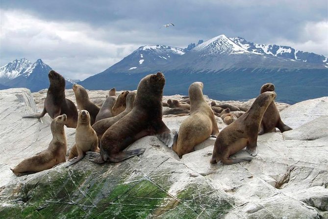 Navigation Beagle Channel Isla De Lobos - Practical Tips