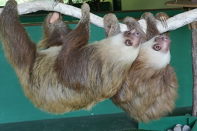 Navigation in the Panama Canal, Gatun Lake and Sloth Sanctuary - Location and Distances
