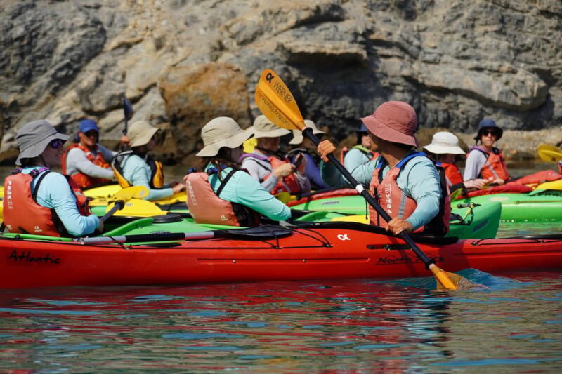 Naxos: Kampos Farm Sea Kayak Tour With Snorkeling & Picnic - Visiting Kampos Farm