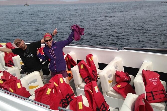 Nazca Lines and Ballestas Islands Full Day - Pickup and Access