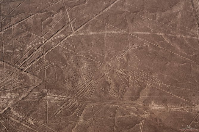 Nazca Lines From Nazca Airport - Flight Duration and Sights