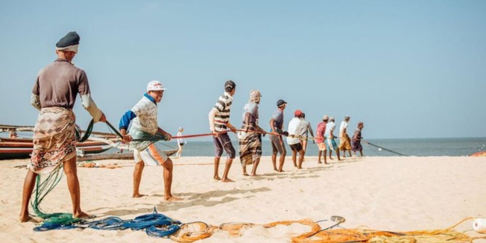 Negombo: Lagoon Fishing Tour From Colombo Harbour! - Important Information