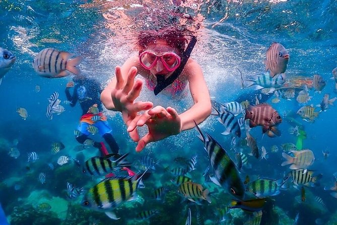 Nemo Island Experience With Drone Photos and Lunch - Daily Itinerary
