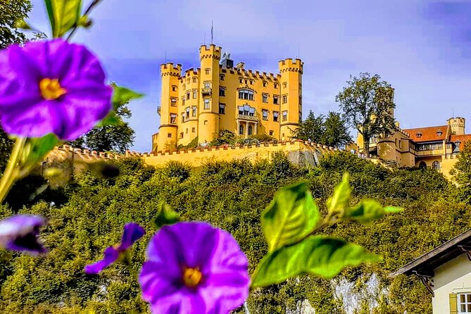 Neuschwanstein Castle and Highline 179 Private Tour  - Munich - Inclusions