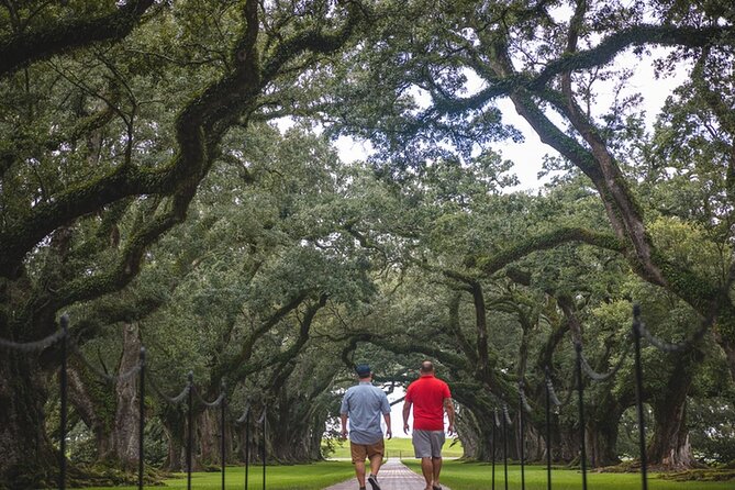 New Orleans Garden District Walking Tour - Guest Reviews and Feedback