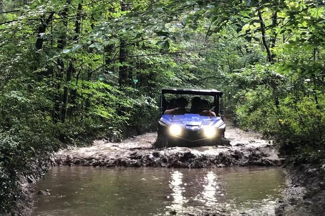 New River Gorge Side by Side Family Tour - Pricing Information