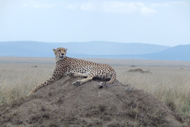 Ngorongoro Adventure Day Tour From Arusha - Picnic Lunch and Refreshments