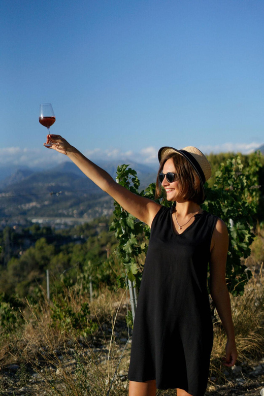 Nice: Vineyard Tour With Wine Tasting - Experience Highlights