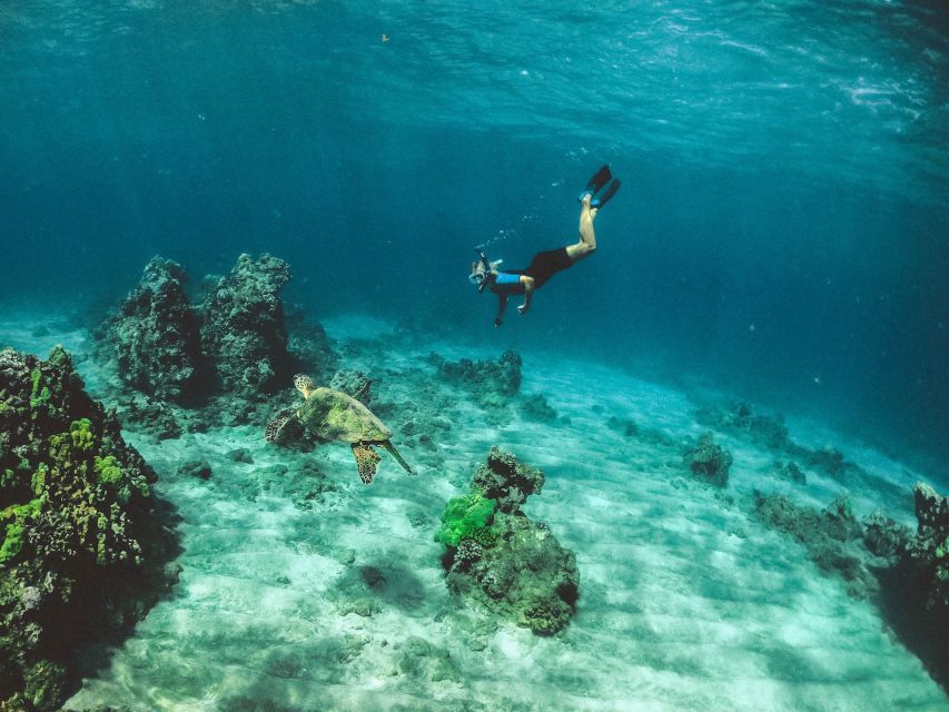 Night Snorkeling in Mirissa - What to Bring